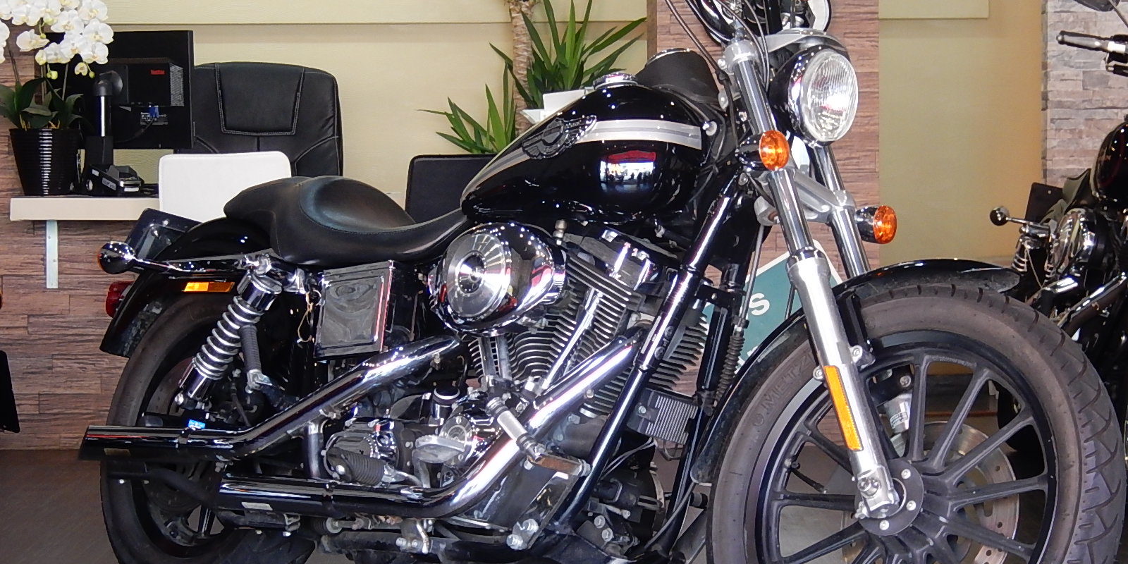 ハーレーダビッドソン　ダイナ　ローライダー 2004年 FXDL 1450 ローライダー ダイナ TC88 キャブ | 岐阜の